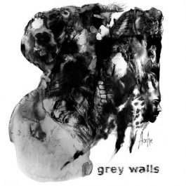 Grey Walls – Asche